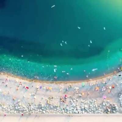 Distant view of people entering the sea... Itâs like weâre the bacteria of the world