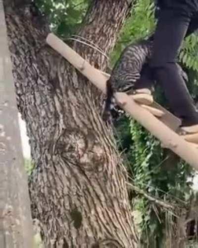 Спасение Котика