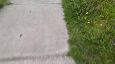 I've put the tiles down, boss