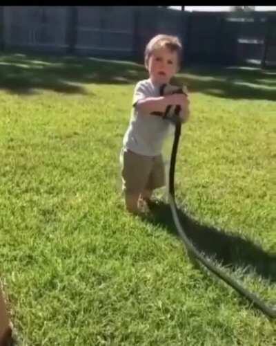 Wonder what this button does