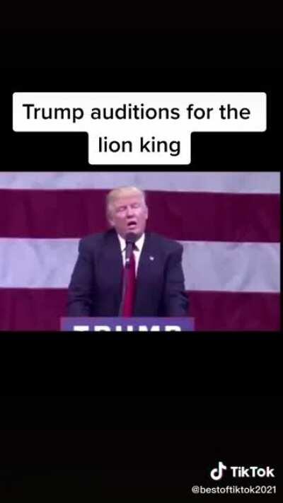 Trump auditions for Lion King.