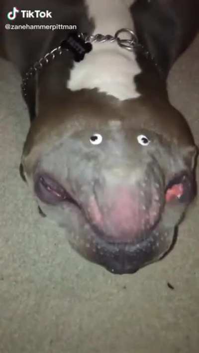 Thanks, I hate upside down dog