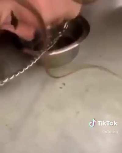 Tik Tok needs to go...