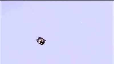 Plz ina penis dont leave :(