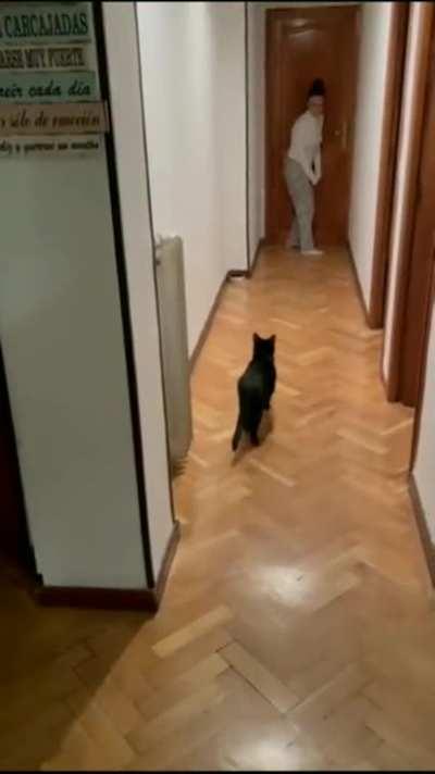 The cutest sneak attack.