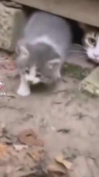 Last post for tonight, y’all keep it safe! 6/5000