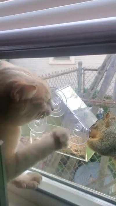 Toast doesn't understand how windows work