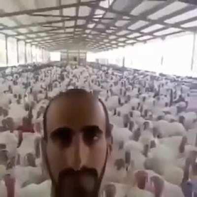 Direttore d'Orchestra