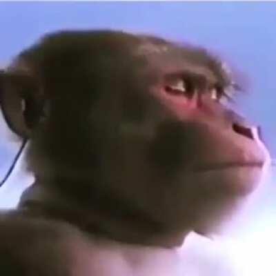 DylanteroYT - Video #3996