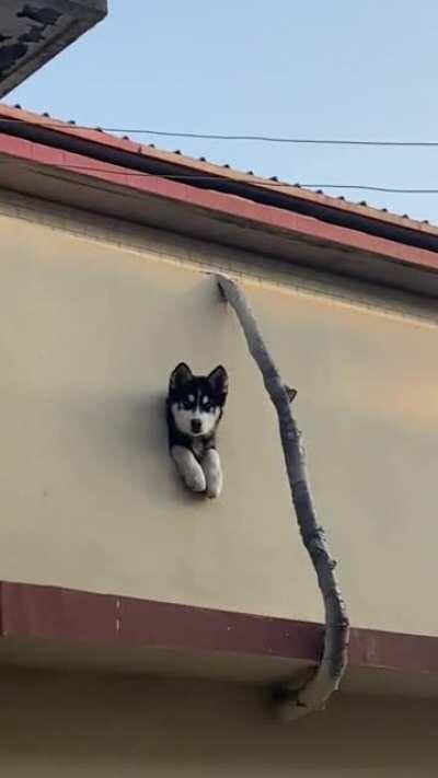 If this close enough for an exception?