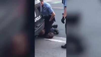 🦍WINSTON COULDN'T BREEEF🦍😔✊🏿🍆💦