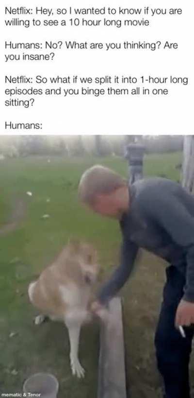 Netflix and chill I guess