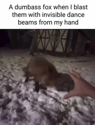 Groovy fox (Ignore the caption I stole it from a shitposting subreddit)