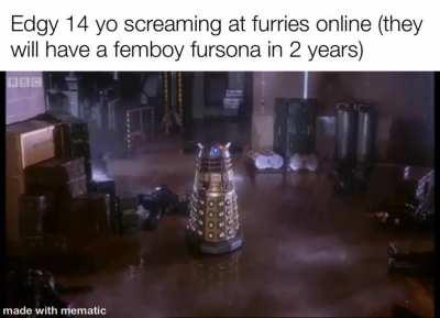 furry_irl