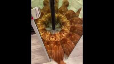 [NO SPOILERS] Dark opening theme but cute.