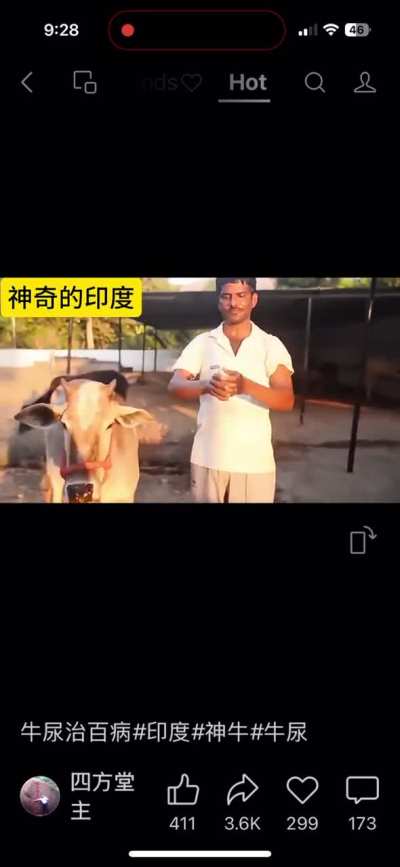 When drinking cow pee isn’t  enough