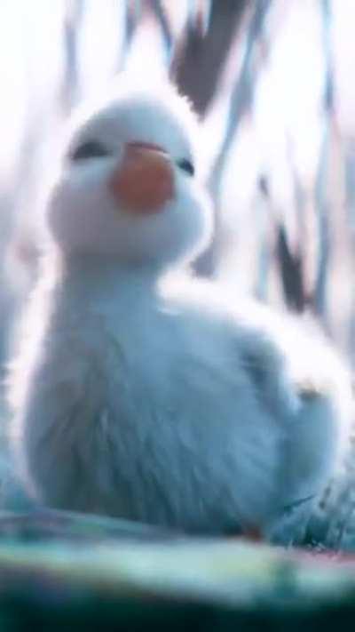 The video made my day :)