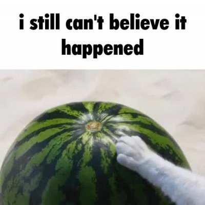 Slap that watermelon