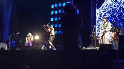 Red Hot Chili Peppers - Don't Forget Me Live @ Mad Cool Music Festival 8/7/2023