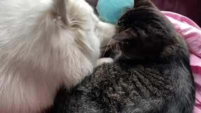 A rare moment for these two 🥲