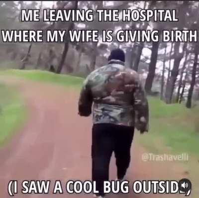 it was a funny looking bug