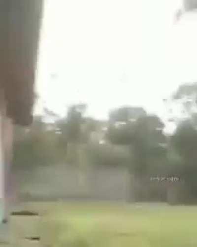 Fuck Juan the horse and Rajesh the cow, but JJ can you fight Wildmutt the dog tho?