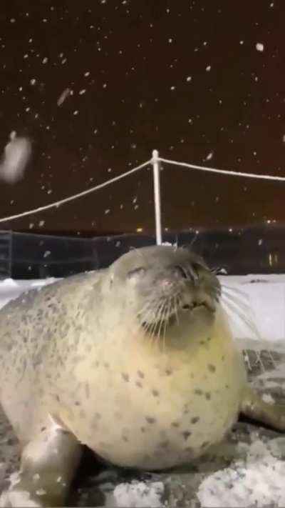 I put some fitting music to it! May we all strive for such moments of peace ❤️