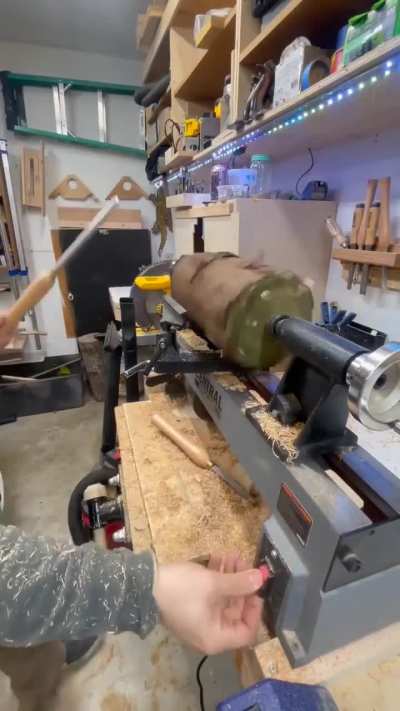 Of a wood chuck that could chuck, wood