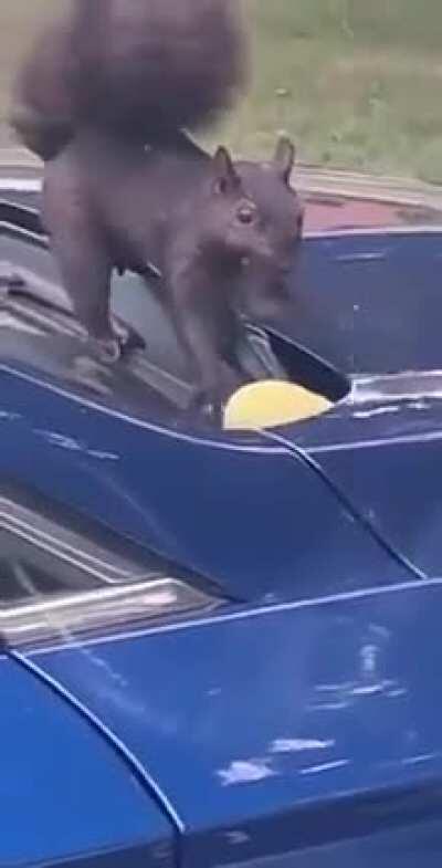 Food stored and well buried