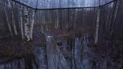 Do you think this is a beautiful place? Early morning rain in a flooded swamp region - Southern Finland