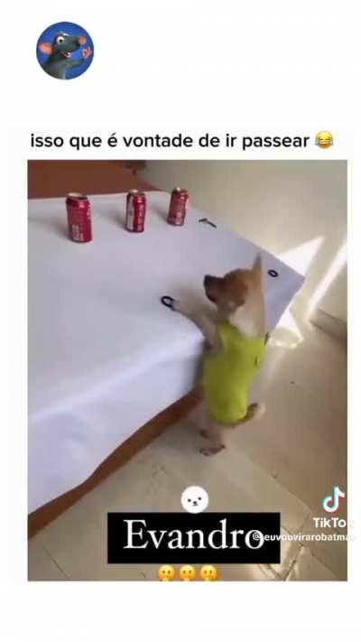 Daxlian - Video #2857