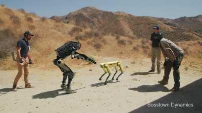 RoBOt forCEd tO sHOoT doG!!11!