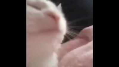 1st listening to The Valley of The Pagans: 