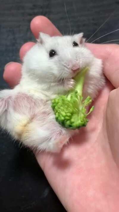Eating greens