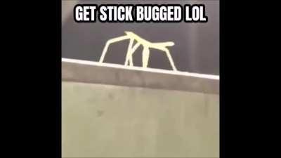 The only serious way to get free robux