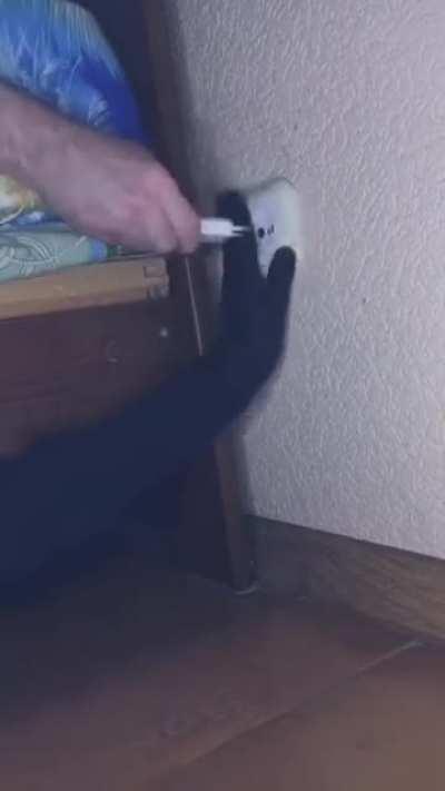 this idea will never get old