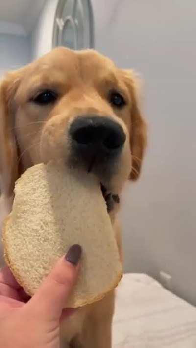 Was that GENTLE enough?