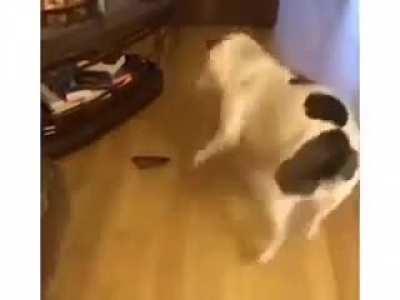 The best reaction?....