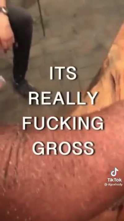 They gave it a try, and I guess that's worth something?