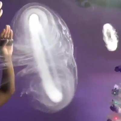 Vortex dynamics as demonstrated by a cloud chaser