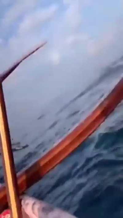 Just keep swimming just keep swimming