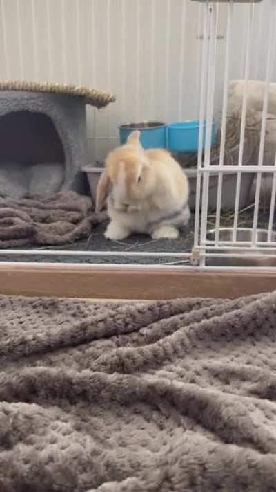 The way his little feet lift off!