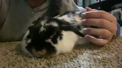 she’s really the best ❤️😊