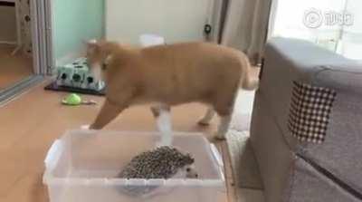 Aight, imma head out.