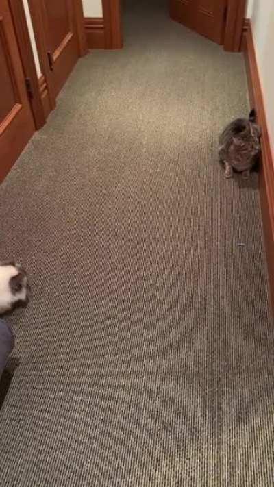 Dave got me believing someone was hiding in the closet