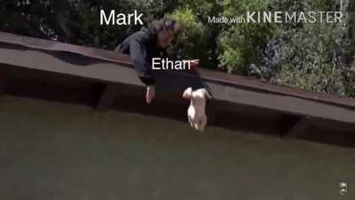 Unus Annus in a nutshell