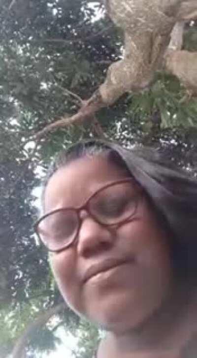 Paz do senhor esteja com vocês