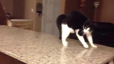 I've been scrolling on this sub for a while and didn't see this one - hope you enjoy it!