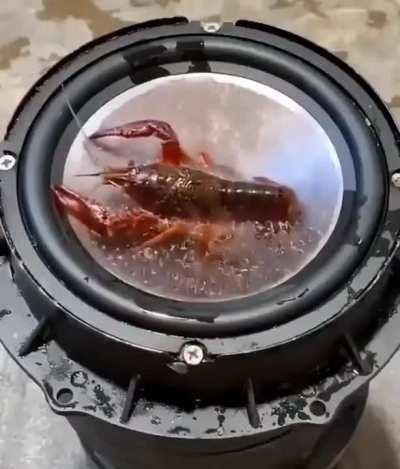 Larry de los lobster