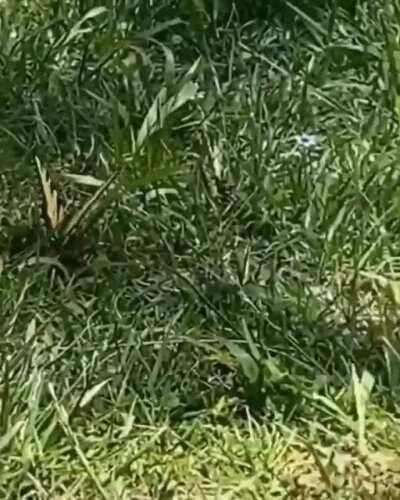 Dudes reaction is gold!